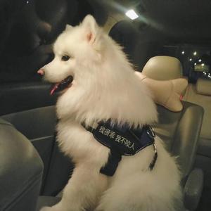 日逼高清视频看看
