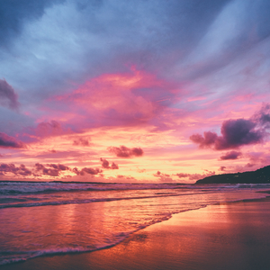 日逼高清视频看看
